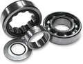 Feuling Outer Cam Bearing (Chain Drive Only) Harley Twin Cam (exc. 2006 Dyna)