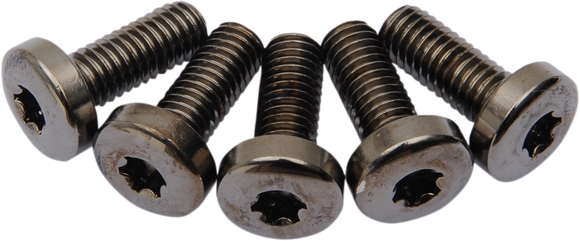 Drag Rear Rotor to Hub Torx Bolts Black Harley Dyna/Softail/Touring/XL 1986-2021