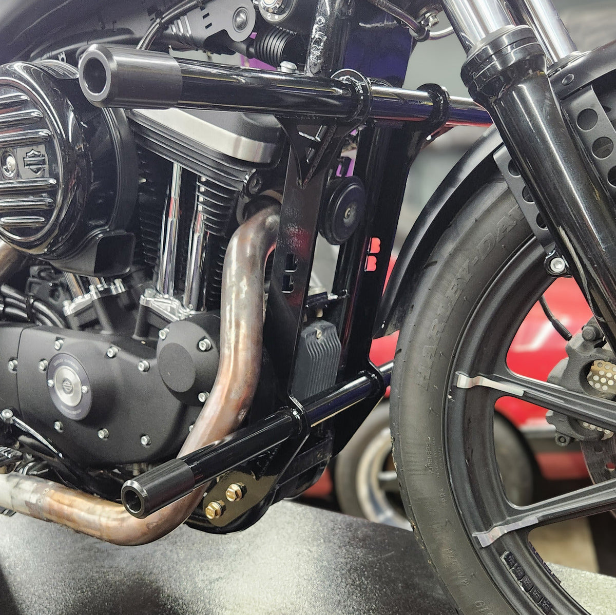 Sportster Cage 2004-2022