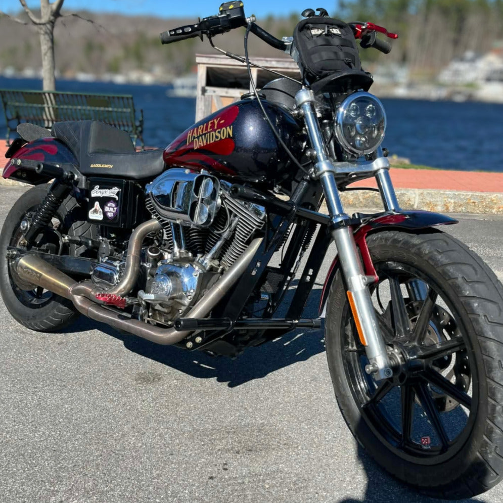 Dyna Cage 1995-2017